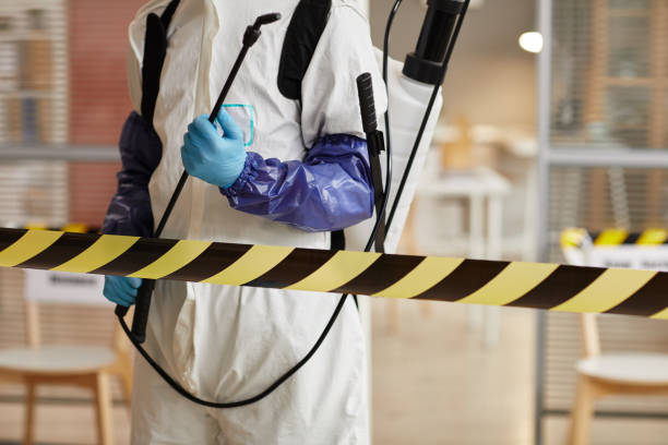 Professional Sewage Cleanup technician working in Nova, OH